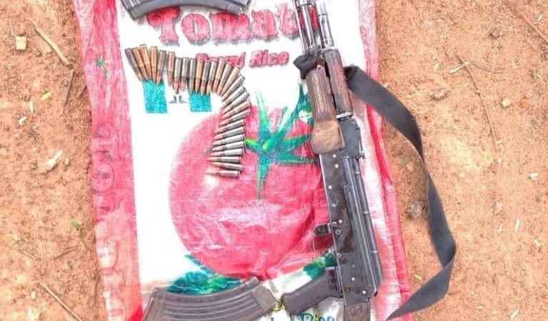 Borno: Troops Crush ISWAP Attack, Recover Weapons, Arrest Terror Suspects