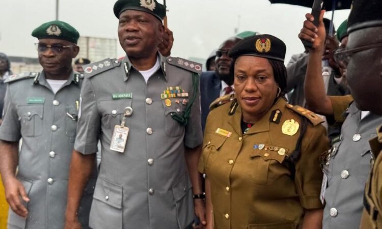 NDLEA takes custody of seized 6,778.5 kilograms of Canadian Loud at Lagos port