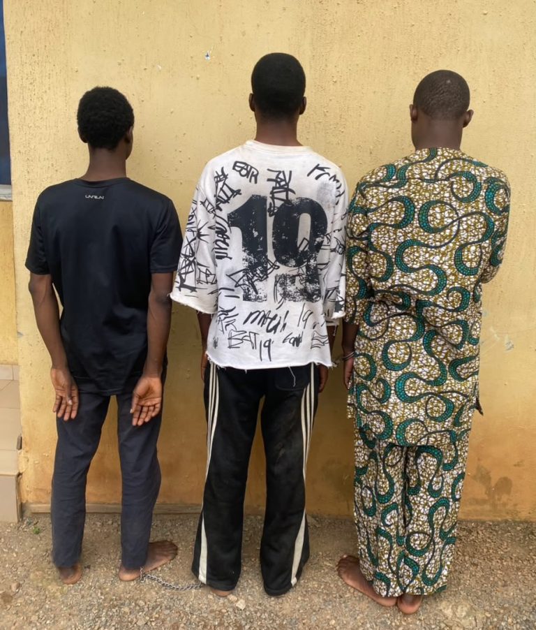 Oyo police arrest 3 men involved in same-sex conduct