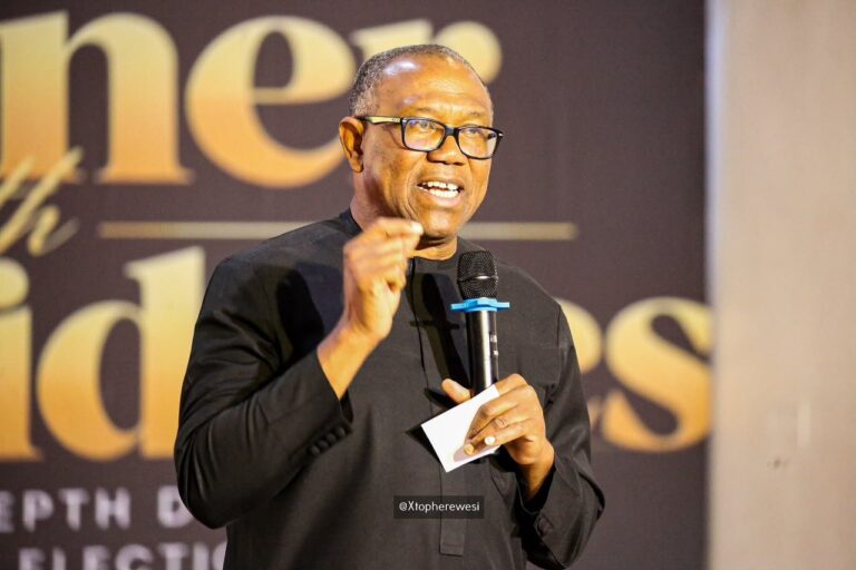 NDC Presidential candidate, Peter Obi