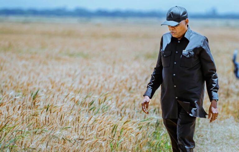 Nigeria targets food independence, adopts Ethiopia’s farming model to transform agriculture