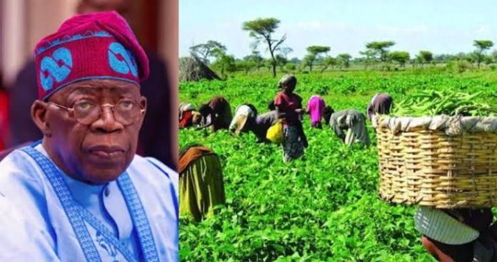 Tinubu agricultural.reforms President Bola Tinubu agricultural revolution reforms