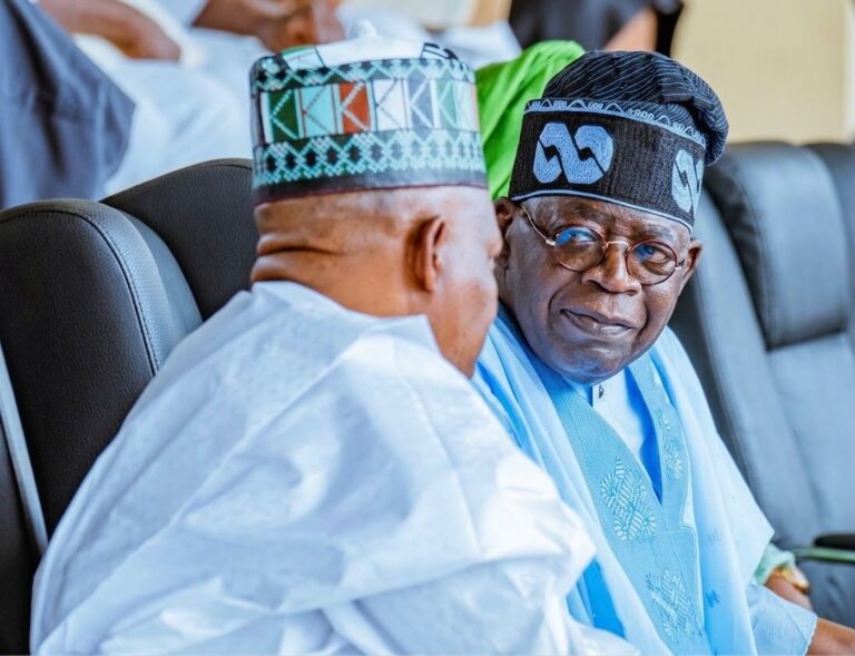 Vice President Kashim Shettima and President Bola Tinubu