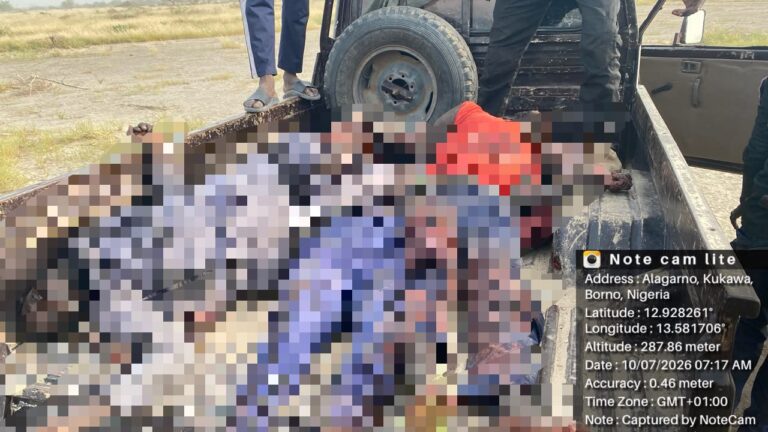 Nigerian Army foils ISWAP attack in Borno, kill over 25 terrorists, recover AK-47 rifles